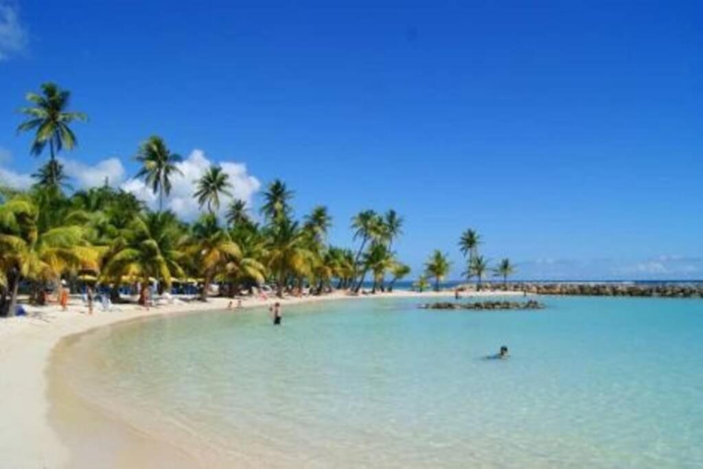 Gite Cajou Dans Jardin Tropical Ventile A Sainte-Anne 外观 照片