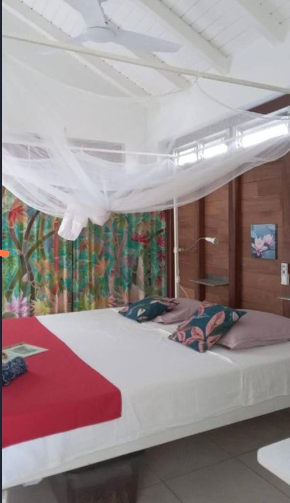 Gite Cajou Dans Jardin Tropical Ventile A Sainte-Anne 外观 照片