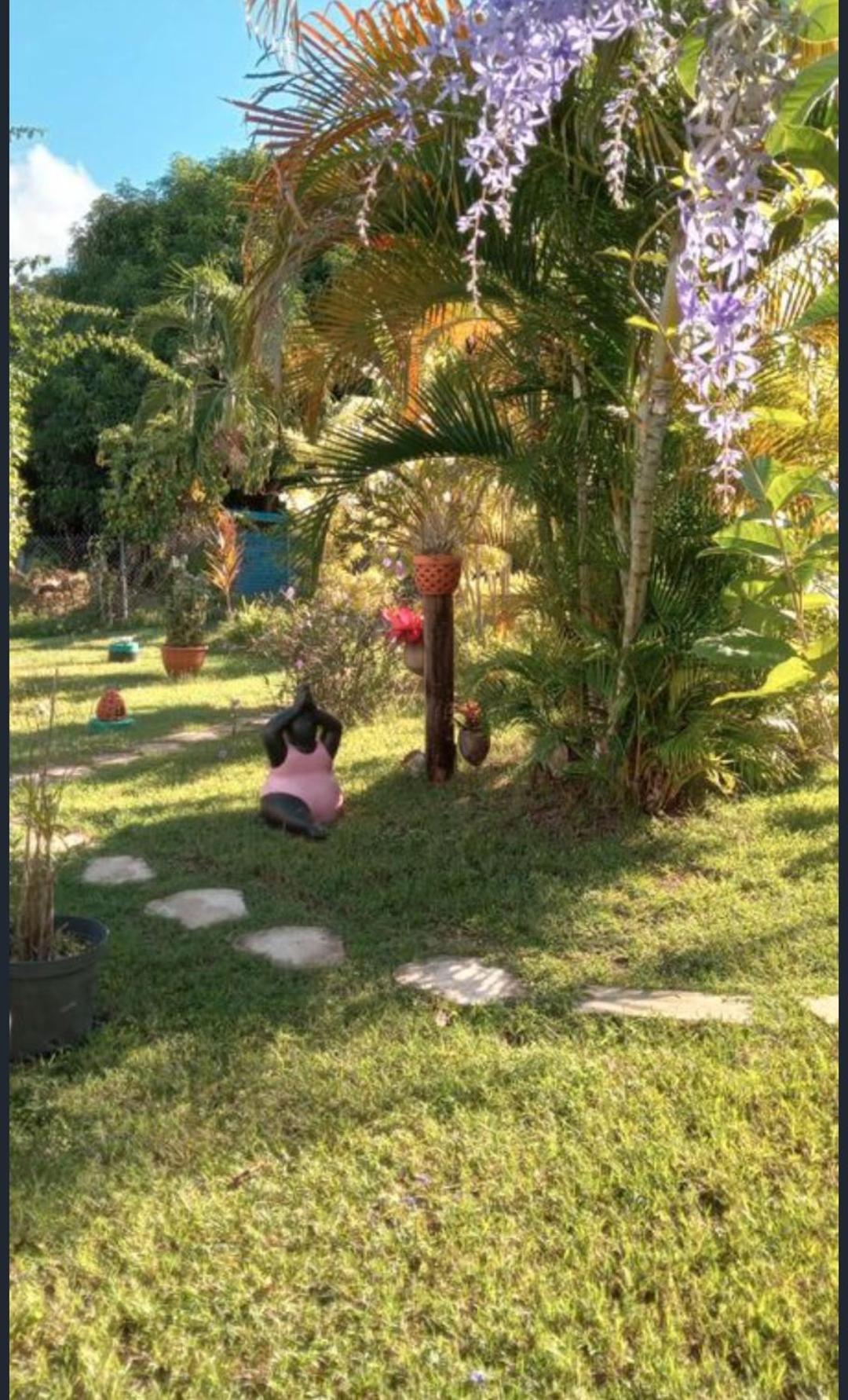 Gite Cajou Dans Jardin Tropical Ventile A Sainte-Anne 外观 照片