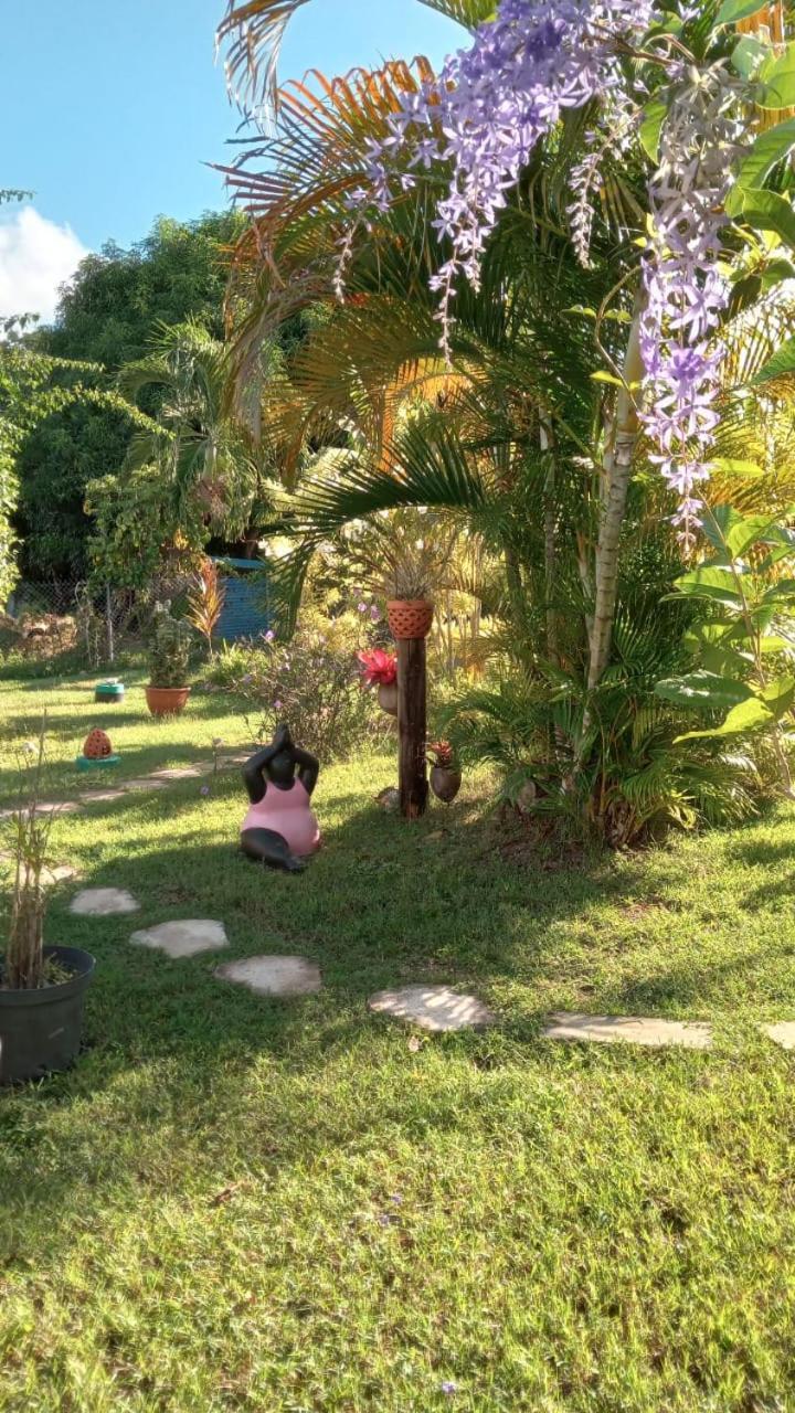 Gite Cajou Dans Jardin Tropical Ventile A Sainte-Anne 外观 照片