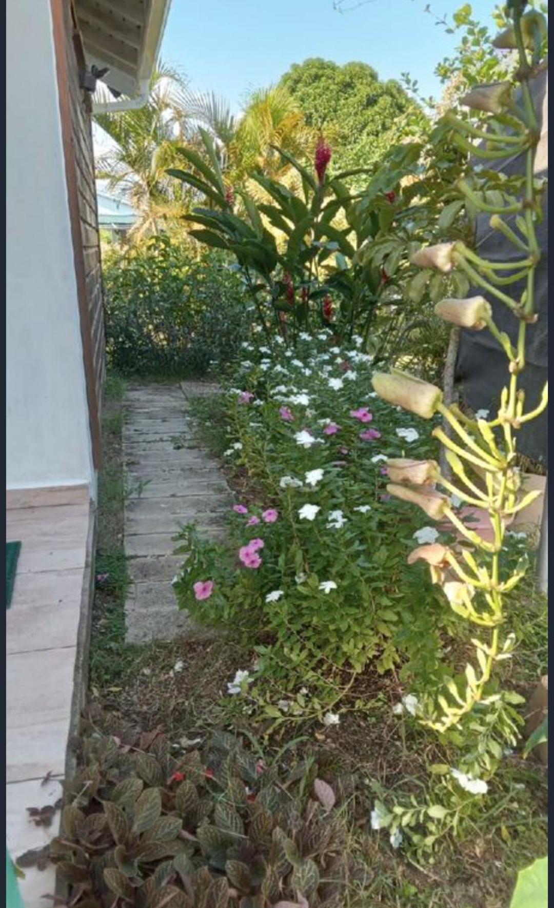 Gite Cajou Dans Jardin Tropical Ventile A Sainte-Anne 外观 照片